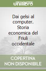 Dai gelsi al computer. Storia economica del Friuli occidentale libro