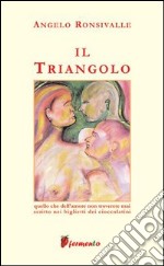 Il triangolo libro