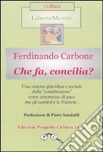 Che fa, concilia? libro