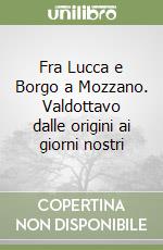 Fra Lucca e Borgo a Mozzano. Valdottavo dalle origini ai giorni nostri libro