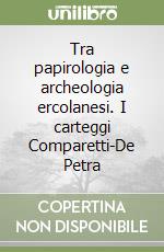 Tra papirologia e archeologia ercolanesi. I carteggi Comparetti-De Petra