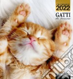 Gatti che dormono. Calendario 2022 libro