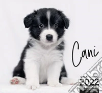 Cani. Calendario 2022 libro