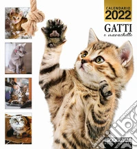 Gatti e marachelle. Calendario 2022