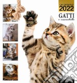 Gatti e marachelle. Calendario 2022 libro