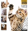 Gatti e marachelle. Calendario 2022 libro