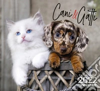 Cani & gatti. Calendario 2022