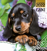 Cani. Calendario 2022