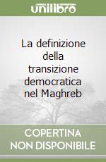 La definizione della transizione democratica nel Maghreb