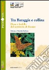 Tra Baraggia e collina. Flora e farfalle del territorio di Roasio libro