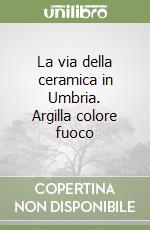 La via della ceramica in Umbria. Argilla colore fuoco libro