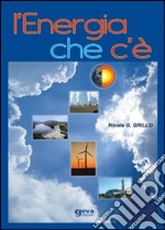 L'energia che c'è libro