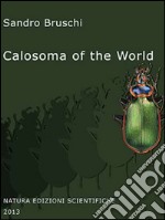 Calosoma of the world (Coleoptera, Carabidae)