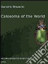 Calosoma of the world (Coleoptera, Carabidae) libro