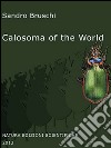 Calosoma of the world (Coleoptera, Carabidae) libro di Bruschi Sandro