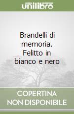 Brandelli di memoria. Felitto in bianco e nero libro