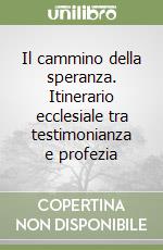 Il cammino della speranza. Itinerario ecclesiale tra testimonianza e profezia libro