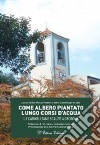 Come albero piantato lungo corsi d'acqua. Le Carmelitane Scalze a Crotone libro