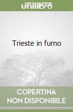 Trieste in fumo (1)