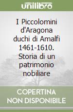 I Piccolomini d'Aragona duchi di Amalfi 1461-1610. Storia di un patrimonio nobiliare libro