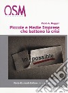 Piccole e medie imprese che battono la crisi. In tempi difficili, solo i più forti fanno utili. Storie di aziende che ce la fanno, ogni giorno, tutti i giorni libro di Ruggeri Paolo A.