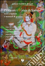 Praticare i 6 yoga di Naropa. Testo originale e manuale di pratica libro