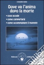 Dove va l'anima dopo la morte libro