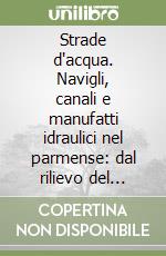 Strade d'acqua. Navigli, canali e manufatti idraulici nel parmense: dal rilievo del territorio al disegno del paesaggio libro