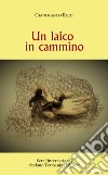 Un laico in cammino libro