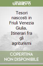 Tesori nascosti in Friuli Venezia Giulia. Itinerari fra gli agriturismi libro