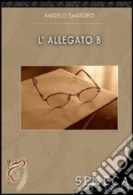 L'allegato B libro