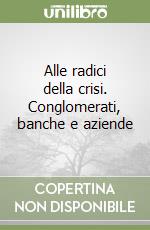 Alle radici della crisi. Conglomerati, banche e aziende libro