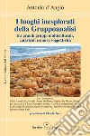 I luoghi inesplorati della Gruppoanalisi tra grandi gruppi multiculturali, catastrofi e nuove soggettività libro