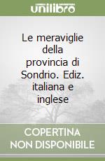 Le meraviglie della provincia di Sondrio. Ediz. italiana e inglese libro