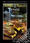 Anfibi & rettili d'Italia libro di Di Nicola Matteo Cavigioli Luca Luiselli Luca