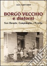 Borgo Vecchio e dintorni. San Donato, Campidoglio e Parella libro