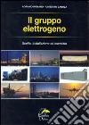 Il gruppo elettrogeno. Scelta, installazione ed esercizio libro