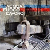 Acqua e fuoco al lavoro. Tracce di antiche attività in valle di Ledro libro