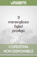 Il meraviglioso figliol prodigo libro