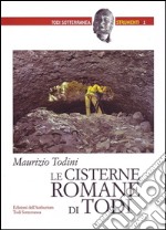 Le cisterne romane di Todi