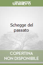 Schegge del passato libro