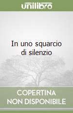 In uno squarcio di silenzio libro