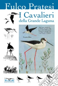 I cavalieri della grande laguna libro