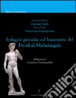 Indagini sul basamento del David di Michelangelo libro