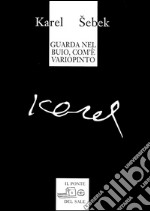 Guarda nel buio, com'è variopinto (testi dagli anni 1965-1995) libro