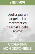 Dodici più un angelo. La matematica nascosta delle anime