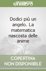 Dodici più un angelo. La matematica nascosta delle anime libro