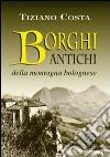 Borghi antichi della montagna bolognese libro