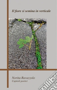 Il fiore si semina in verticale libro