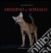 Abissino e somalo. Ediz. illustrata libro